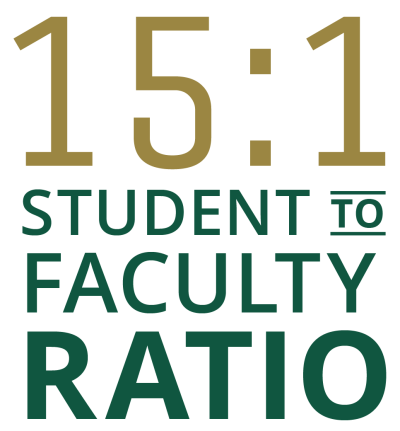 15:1 Student to Faculty Ratio