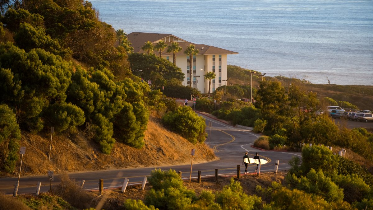 Trees and Ocean Surrounding PLNU's Young Hall 