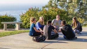 Group of students meeting with Dr. Brandon Swayer on the ground of McCullough Park