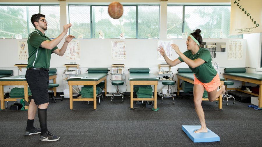 Top 20 Careers With A Master’s In Exercise Science | PLNU