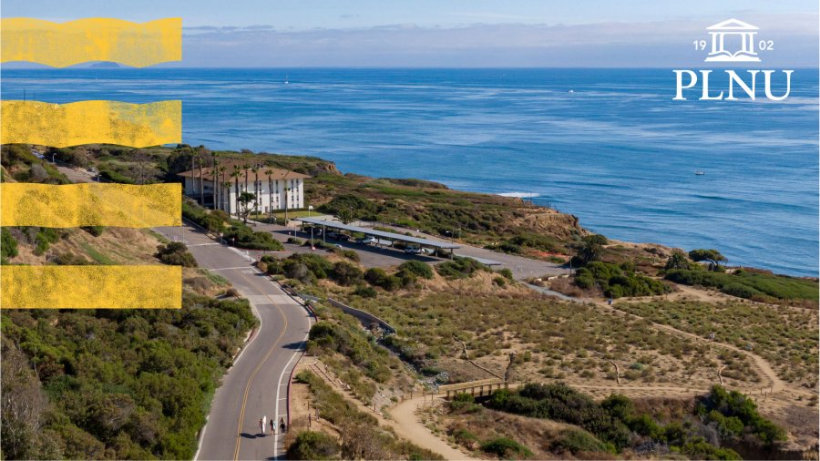 Zoom background showing Sunset Cliffs