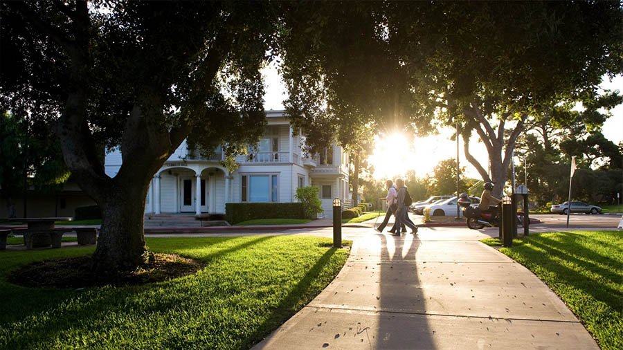 The sun rises on campus as students walk by a cluster of trees.