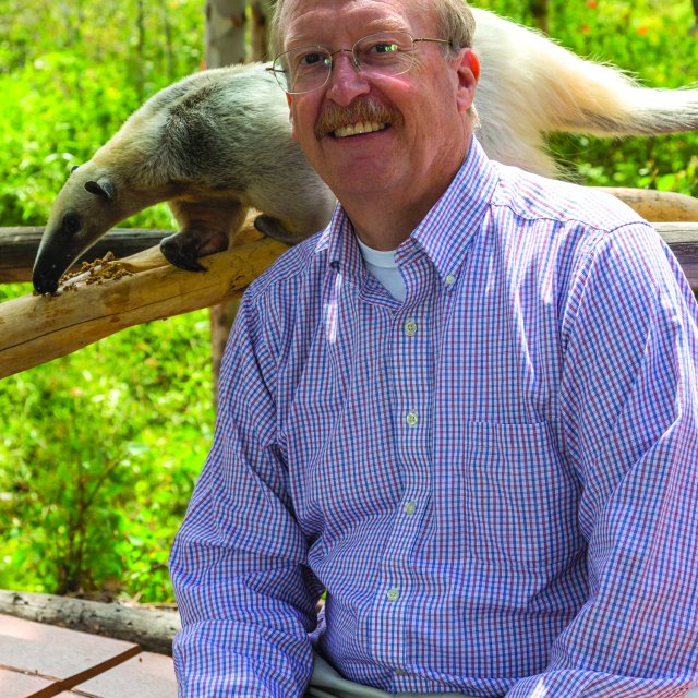 Bob Wiese sitting with an ant eater walking a log just behind his head
