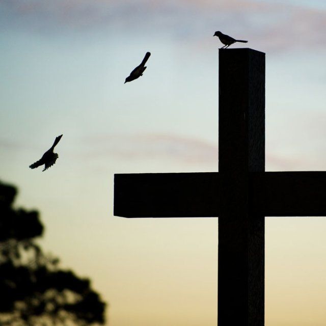 A cross at sunset with a bird perched on top and then caught in flight 