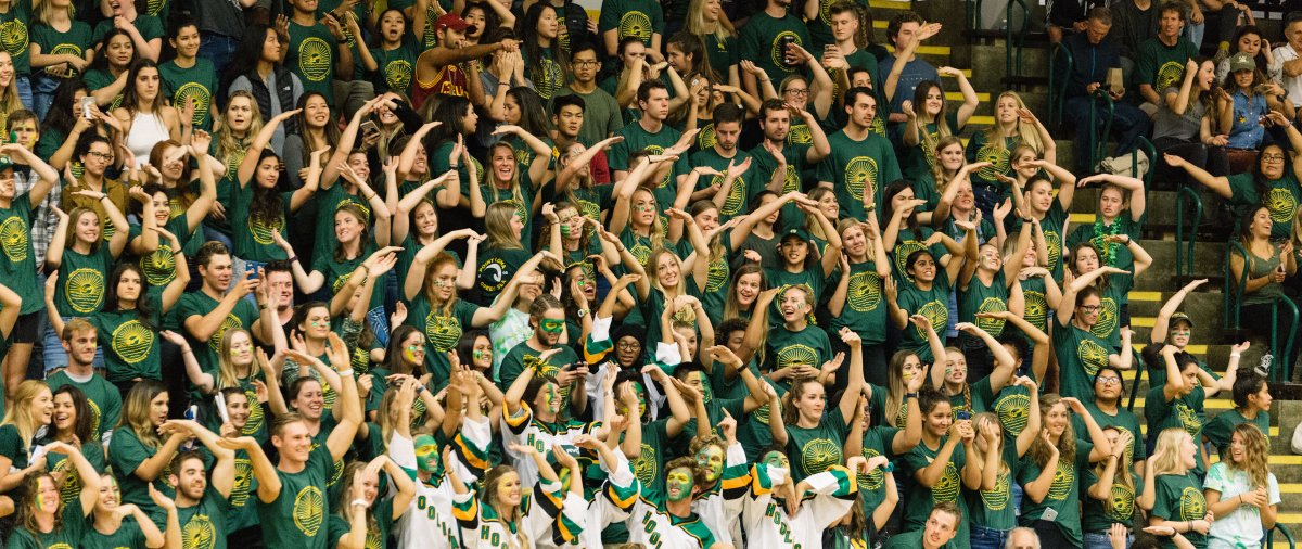 Students in the stands cheering on basketball game