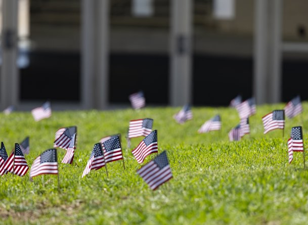 small American flags placed on a grassy lawn 