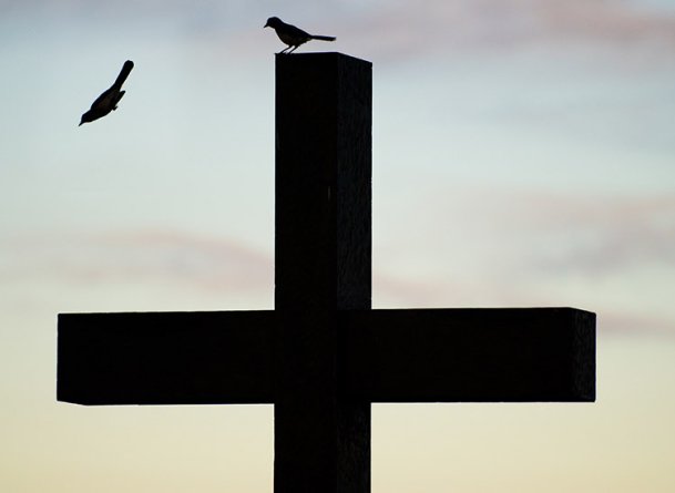 Three birds and a cross are backlit by a sunset