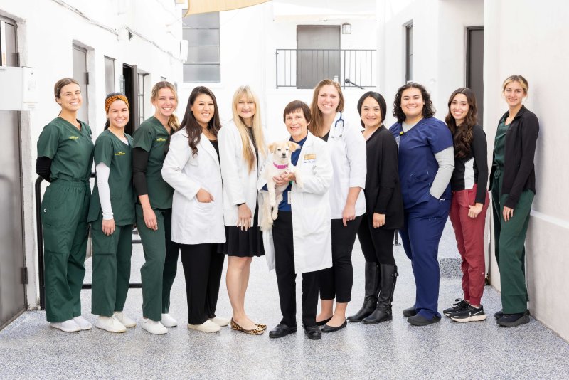 The Health Promotion Center staff group photo