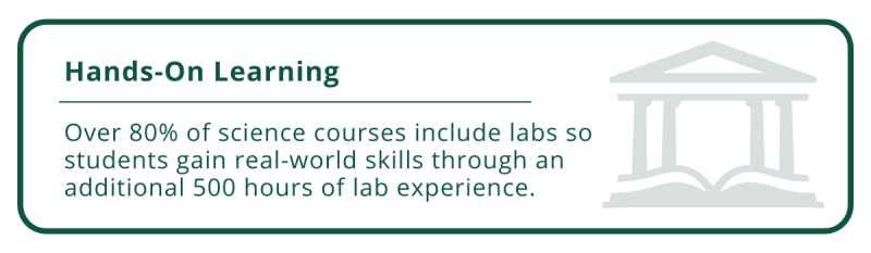 Enhanced graphic of copy in the color green. Text reads: "Over 80% of science courses include labs so students gain real-world skills through an additional 500 hours of lab experience."