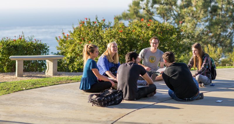 Group of students meeting with Dr. Brandon Swayer on the ground of McCullough Park