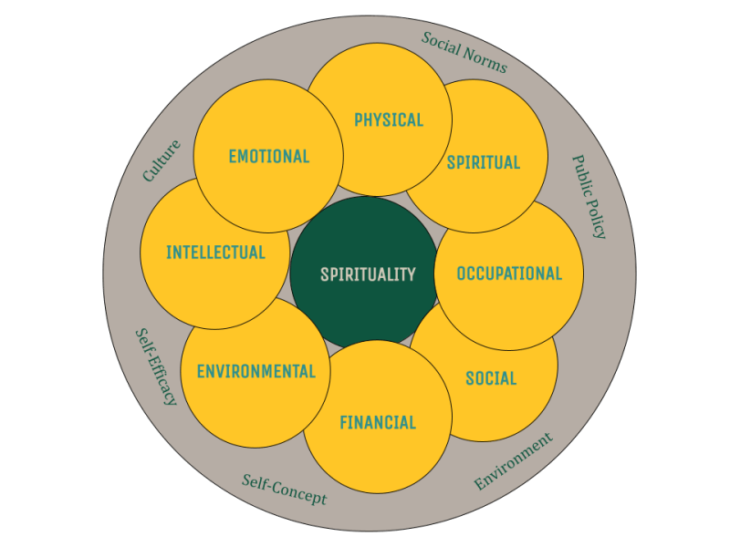 Wellness Wheel showing the areas of concentration