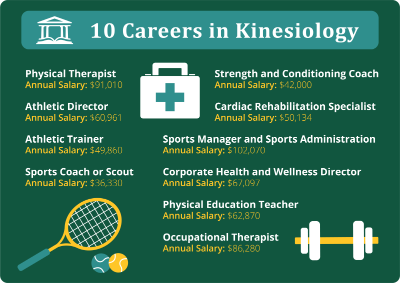 Kinesiology vs. Physical Therapy: Uses, Benefits, & More